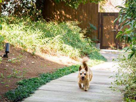 伊豆マリオットホテル修善寺 / 2