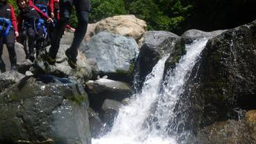 スポーツ設備 / 1