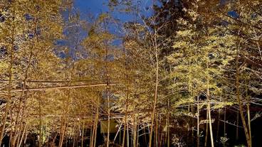 施設の入り口 / 37