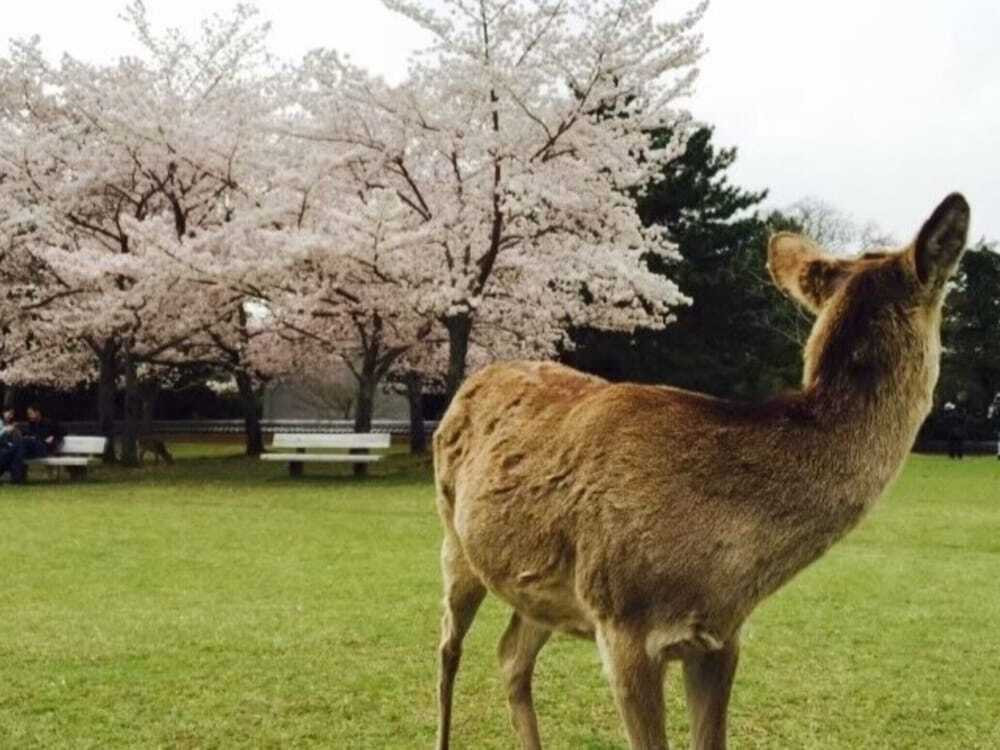 ランド ビュー