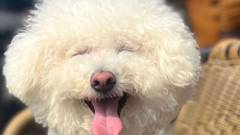 築地ビジネスホテルバン