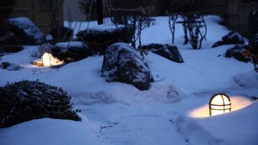 庭園・雪① / 12