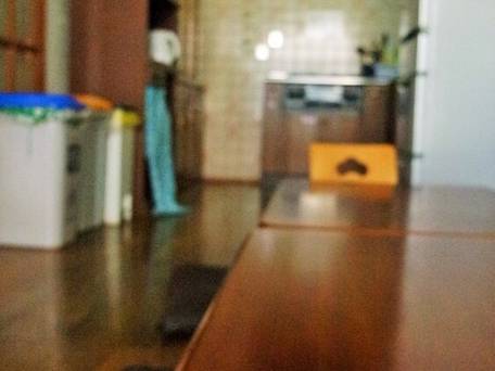 ぴーすはうす桜 / 2