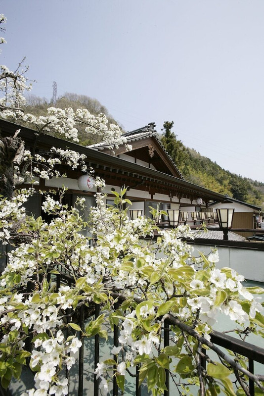 施設からの眺望