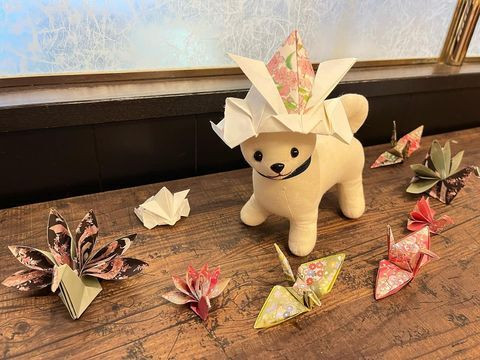 lu_shikashikaさんの写真 / 2