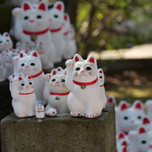 【全国】猫にパワーをもらう旅へ♪猫のお守り・招き猫がある寺社7選+周辺ホテル