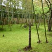 京都 木津温泉 丹後の湯宿 ゑびすや（えびすや）（京都府 旅館） / 4