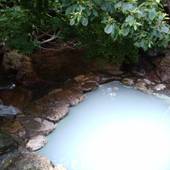 乳頭温泉郷 秘湯 鶴の湯温泉（秋田県 旅館） / 4