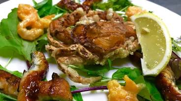 食事・飲み物 / 8