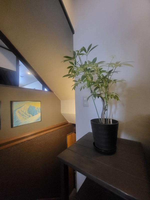 リビング エリア