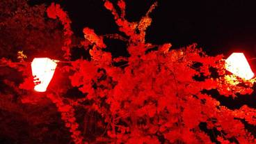 シティ ビュー / 11