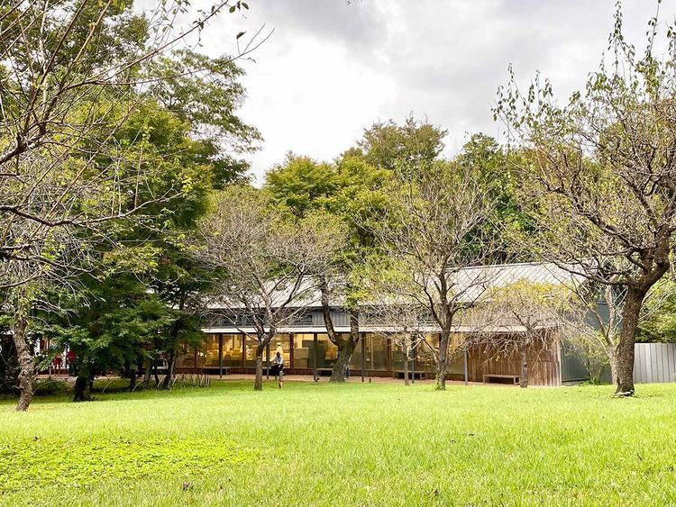 samopy38さんの写真 / 3