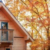 ワダノウッズ（長野県 リゾートホテル） / 2