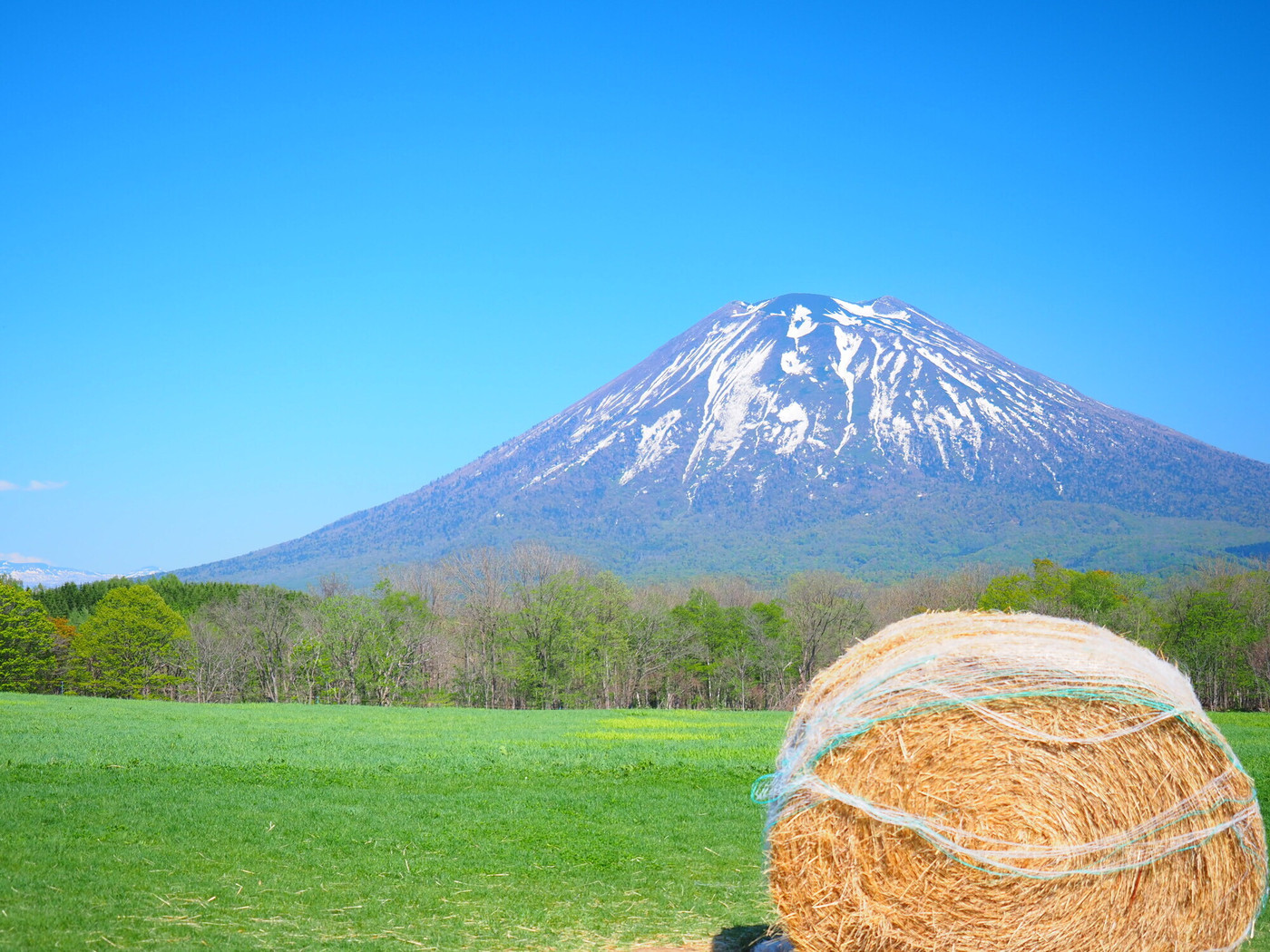 北海道の絶景 ニセコ高橋牧場からの羊蹄山風景