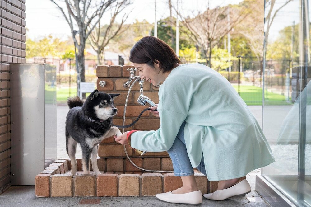 ペット用設備・サービス
