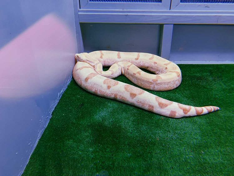 econeco0923さんの写真 / 3