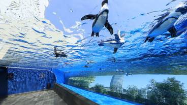 ショッピングモール / 2