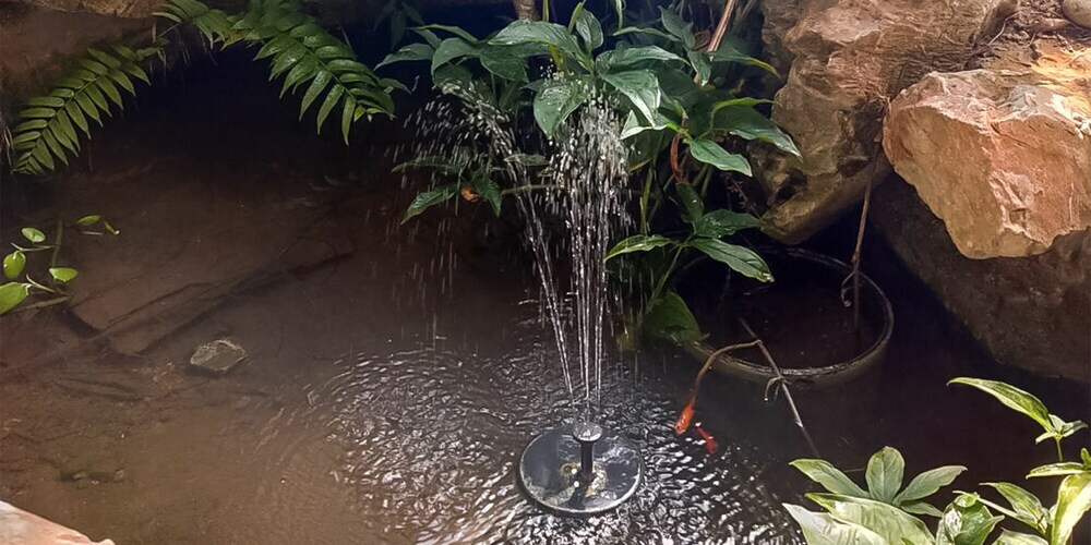 ガーデン ビュー