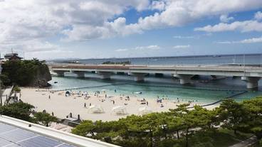 ビーチ / オーシャン ビュー / 4