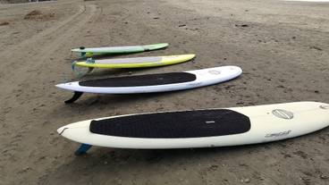 サーフィン / ボディボード / 1