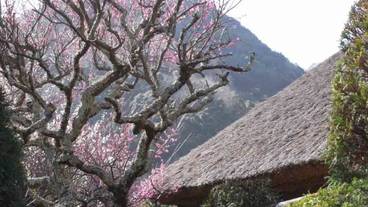 施設の敷地 / 23