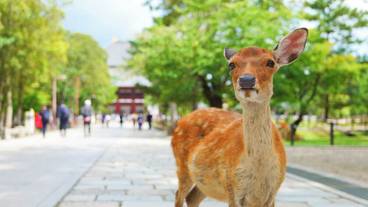 宿泊施設の地図 / 4