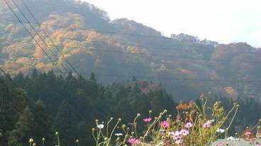 マウンテン ビュー / 14