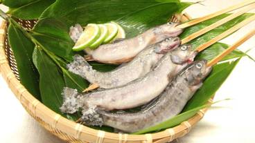 食事・飲み物 / 3