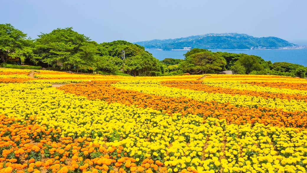 能古島まで車で約55分 / 5