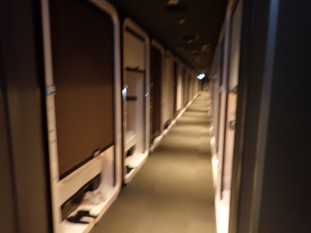 ウナギの寝床のように細長い構造