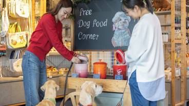 ペット同伴可 / 7