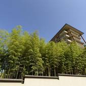 人吉温泉 清流山水花 あゆの里（熊本県 旅館） / 3