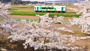 ハイキング / 19