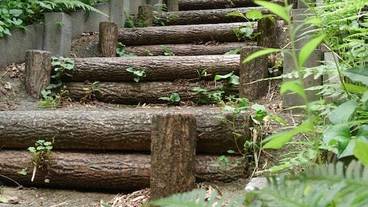 施設の入り口 / 8