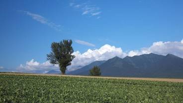 宿泊施設の地図 / 14