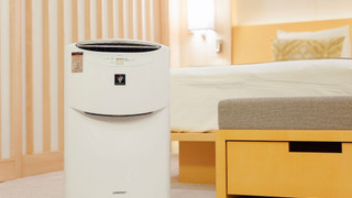 禁煙 スタンダードツイン シティ側