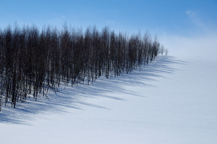 美瑛の美しい雪景色959939