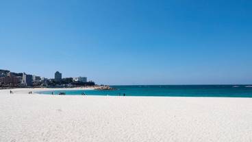 観光スポット / 13