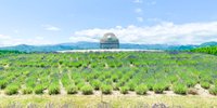 札幌をもっとディープに観光しよう！おすすめの穴場スポット12選【北海道】