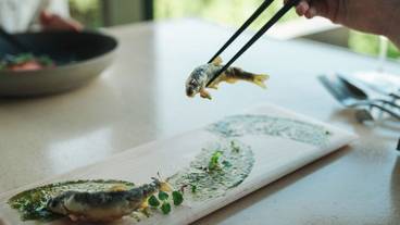 食事・飲み物 / 9