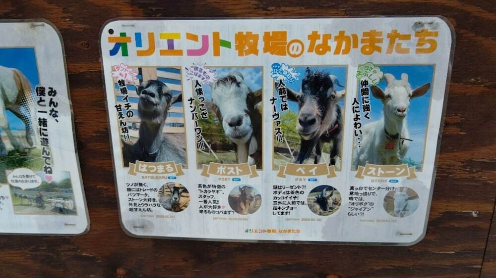 ランド ビュー