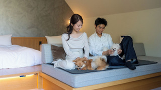 Standard with dogrun, Non Smoking