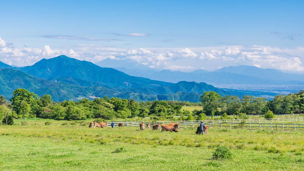 清泉寮／牧場の風景 / 2