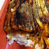 かわとみ（カワトミ）