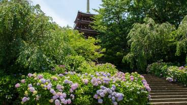 観光スポット / 7