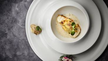 食事・飲み物 / 17