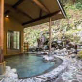 木もれびの宿 ふるさと(神奈川県 旅館) / 4