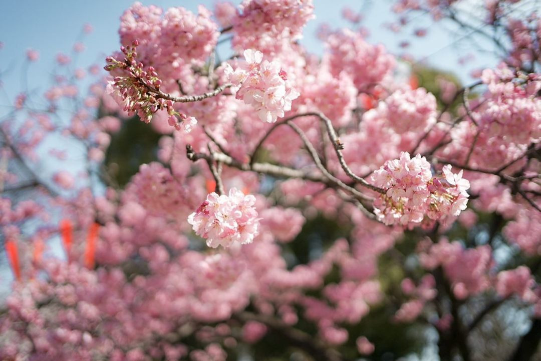 su_zoo_sansanさんの写真 / 5