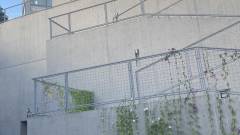 姫路宿泊型児童館 星の子館