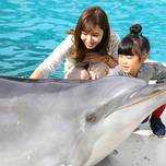 【和歌山】那智勝浦で自然を楽しむ♪子連れにおすすめホテル7選